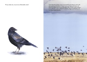 Xenia Joss – Die Bunte Welt der Rabenvögel, Auszug 03