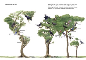 Xenia Joss – Die Bunte Welt der Rabenvögel, Auszug 09