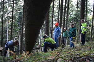 Baumfällen in den Eggbergen & Stamm aufsägen in der Bielen-Säge Unterschächen, Workshop mit Toni Walker