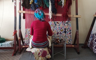 Aynur Turunc, Jin Kilim