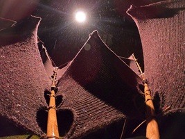 Bachelorarbeit Objektdesign 2020 Ilghar Dadgostari