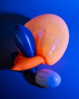 Rebekka Nitsch 6