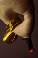 Rebekka Nitsch 8