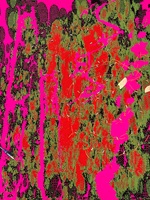 Arbeit von Larissa Frei für das Projekt Digital Craft. 