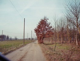 Stills von Julius Langes Abschlussprojekt Finding a Common Sense. 