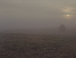 Stills von Julius Langes Abschlussprojekt Finding a Common Sense. 