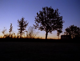 Stills von Julius Langes Abschlussprojekt Finding a Common Sense. 