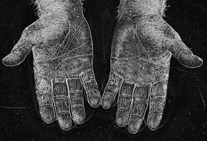 Computerkunst: Das Bildanalyseprogramm erkennt die Struktur der Haut auf den Handflächen. (Foto: Hochschule Luzern)