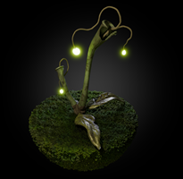 Sebastian Borter: Modul Mentorat, 1. Semester, Dozent: Urs Dubacher, 2023