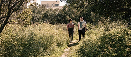 Students in the bushes Malta