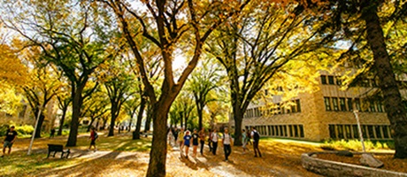 Saskatchewan Autumn View