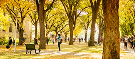 Saskatchewan Trees outside