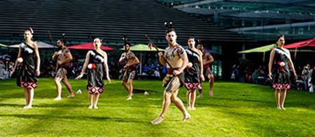 orientation university of auckland