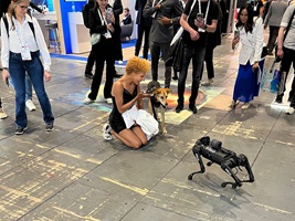 Echter Hund betrachtet den Roboterhund