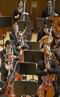 Sinfoniekonzert Oktober 2013. Die Celli und Bässe der Orchester der Hochschulen Luzern und Basel applaudieren der Solistin. 