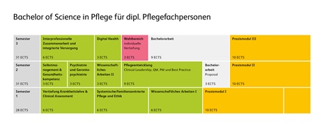 Grafische Darstellung der Modulstruktur im Bachelor in Pflege für dipl. Pflegefachpersonen