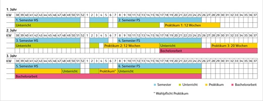 Grafische Darstellung der Semesterstruktur im Bachelor of Science in Pflege