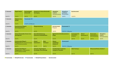 Grafische Darstellung der Modulstruktur Bachelor of Science in Pflege