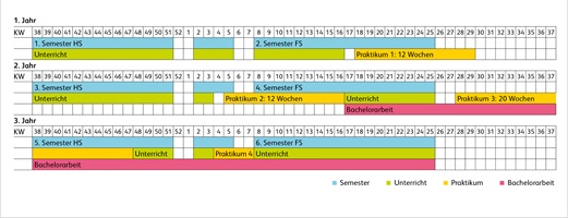 Grafische Darstellung der Semesterstruktur im Bachelor of Science in Pflege