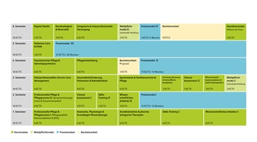 Grafische Darstellung der Modulstruktur Bachelor of Science in Pflege