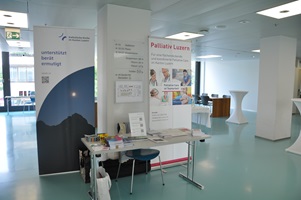 Palliative Care 2024