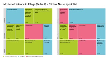 Grafik der Modulstrukturübersicht von Master in Pflege für Clinical Nurse Specialist in Teilzeitstudium
