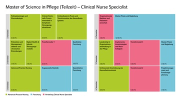 Grafik der Modulstrukturübersicht von Master in Pflege für Clinical Nurse Specialist in Teilzeitstudium