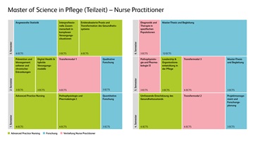 Grafik der Modulstrukturübersicht von Master in Pflege für Nurs Practioner in Teilzeitstudium