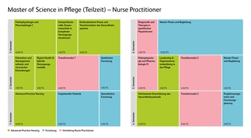 Grafik der Modulstrukturübersicht von Master in Pflege für Nurs Practioner in Teilzeitstudium