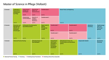 Grafik der Modulstrukturübersicht von Master in Pflege im Vollzeitstudium