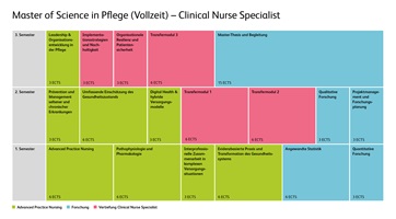 Grafik der Modulstrukturübersicht von Master in Pflege für Clinical Nurse Specialist in Vollzeitstudium
