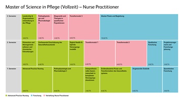 Grafik der Modulstrukturübersicht von Master in Pflege für Nurse Practioner in Vollzeitstudium