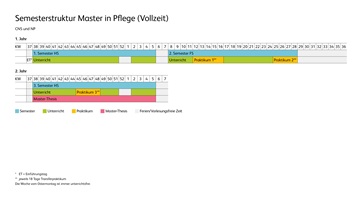 Grafische Darstellung der Semesterstruktur des Masters in Pflege (Vollzeit)