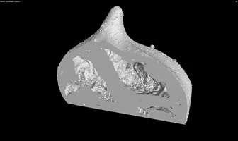 3D Visualisierung der Kavitäten und Porositäten in einer  Meringuesschale. 