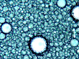 Mikroskopische Aufnahme Phasenwechseldispersion