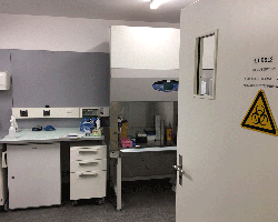BSL2 Lab Eingang