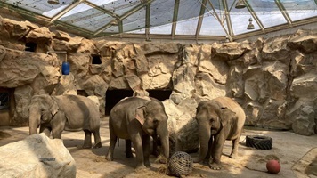 Auch eine Zoobesichtigung vor und hinter den Kulissen stand auf dem Programm