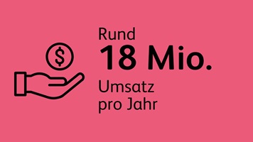 Infografik: Rund 18 Millionen Franken Umsatz