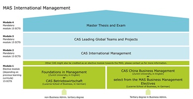 Grafik MAS International Management