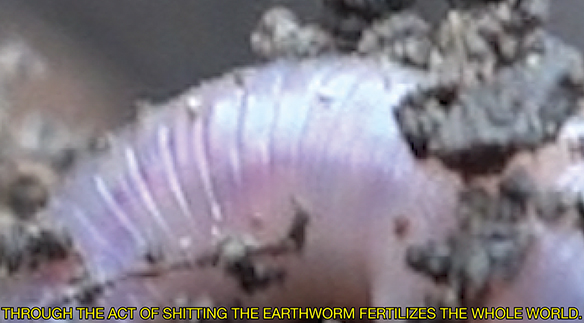 Chapeau! Preis für Theorie BA-/MA-Arbeit: «MUD-dy World» von Sophie Germanier, Absolventin Bachelor Kunst & Vermittlung