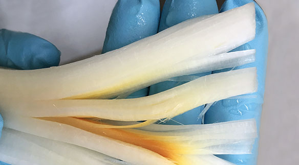 Meri Zirkelbachs Abschlussarbeit (2019) bewegt sich an der Schnittstelle zwischen Design und Materialforschung: Sie analysierte im Projekt WhiteWood die Anwendungsmöglichkeiten eines von der ETH Zürich entwickelten ökologischen Werkstoffs auf Holzbasis.