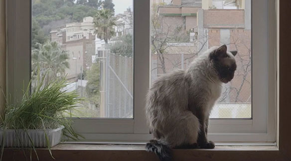 Im Film «Raíces» erkundet Laura Gauch (Pfäffikon SZ) als Bachelorarbeit im Studium Camera Arts die chilenische Geschichte der Familie ihrer Mutter. Bild: zvg