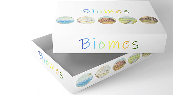 Als Bachelorarbeit im Studium Illustration Non-Fiction hat Michelle Gygax (Seedorf BE) ein Gesellschaftsspiel entworfen. Die Spieler sollen gesunde, funktionierende Ökosysteme schaffen und Spezies darin ansiedeln. Bild: zvg