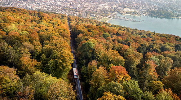 Die Landschaft ist die Hauptattraktion der Standseilbahn Magglingen. Das raffinierte Energiesystem ist den Augen verborgen. © Verkehrsbetriebe Biel 
