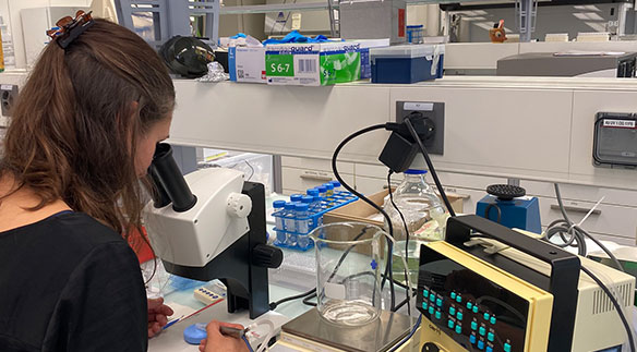 HSLU und Oertli Instrumente AG entwickeln effizientere Instrumente für die Operation des Grauen Stars. ©Oertli 