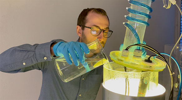 Gesucht: Die bestmöglichen Wachstumsbedingungen für Mikroalgen.