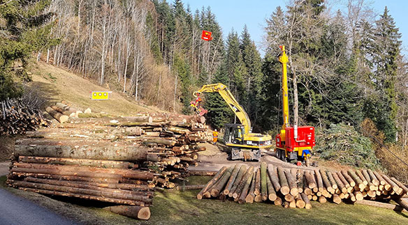 Nidwalden: Waldarbeiten im Hergiswiler Wald