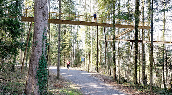 Zug: Erholung im Wald, Freizeit und Sport im Wald – auf dem Schlaufensteg in Baar kann die Natur aus einer neuen Perspektive erlebt werden.  Quelle: © 2ECK Architekten GmbH