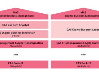 Aufbau MAS Digital Business Management
