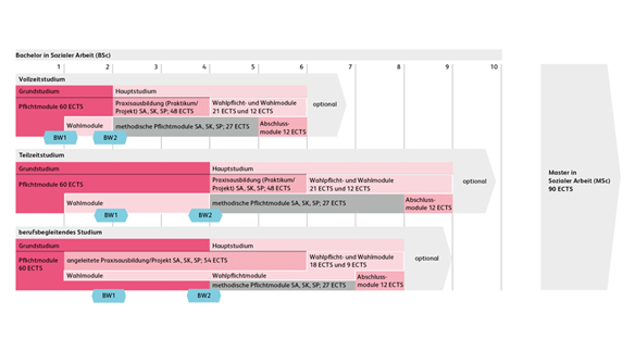 Detaillierte Grafik des Aufbaus des Bachelorstudiums in Sozialer Arbeit in Pink